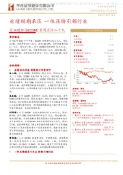 系列点评二十九:业绩短期承压 一体压铸引领行业