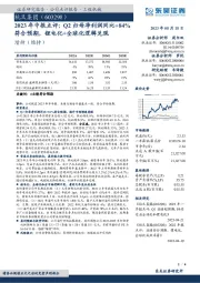 2023年中报点评:Q2归母净利润同比+84%符合预期,锂电化+全球化逻辑兑现