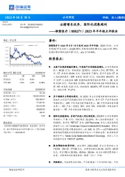 2023年半年报点评报告：业绩增长优异，国际化进展顺利