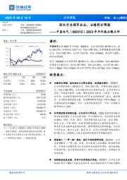 2023年半年报业绩点评:国内开关领军企业,业绩符合预期
