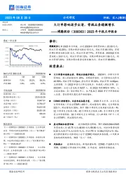 2023年中报点评报告：大订单影响逐步出清，常规业务稳健增长