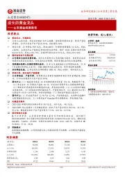 山东黄金深度报告:成长的黄金龙头