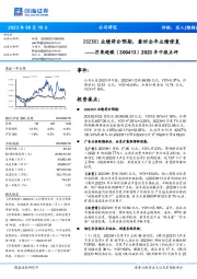 2023年中报点评：2023H1业绩符合预期，看好全年业绩修复