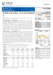 在建项目逐步落地,多品类布局持续发力
