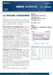 Q2业绩环比改善，技改项目有序推进