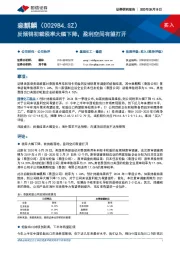 反倾销初裁税率大幅下降，盈利空间有望打开