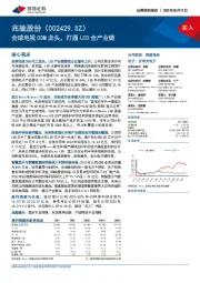 全球电视ODM龙头，打通LED全产业链