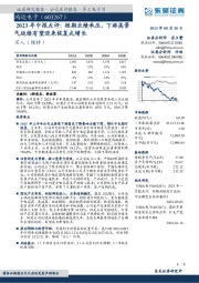 2023年中报点评：短期业绩承压，下游高景气延续有望迎来恢复式增长