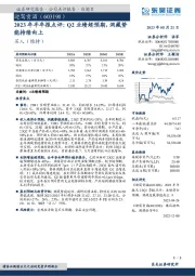 2023年半年报点评：Q2业绩超预期，洞藏势能持续向上