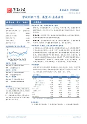营收利润下滑,展望AI未来应用