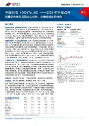 2023年中报点评：销量逆势增长巩固龙头优势，业绩略超此前预告