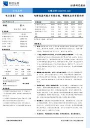 电解液盈利能力有望企稳，磷酸铁业务有望向好