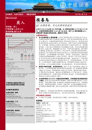 Q2业绩高增，多元品牌共驱成长