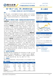 2023年半年报点评:乘“算力”之风,第二曲线增长迅速