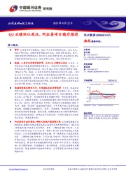 Q2业绩环比承压,阿拉善项目稳步推进