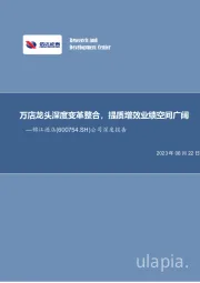 公司深度报告:万店龙头深度变革整合,提质增效业绩空间广阔