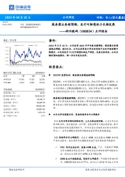 点评报告：服务器业务超预期，发行可转债助力长期发展