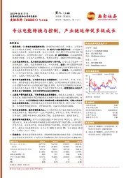 专注电能转换与控制,产业链延伸促多极成长