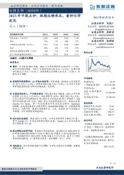 2023年中报点评：短期业绩承压，看好化学发光