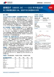 2023年中报点评：单二季度营收增长53%，加快平台化和国际化布局