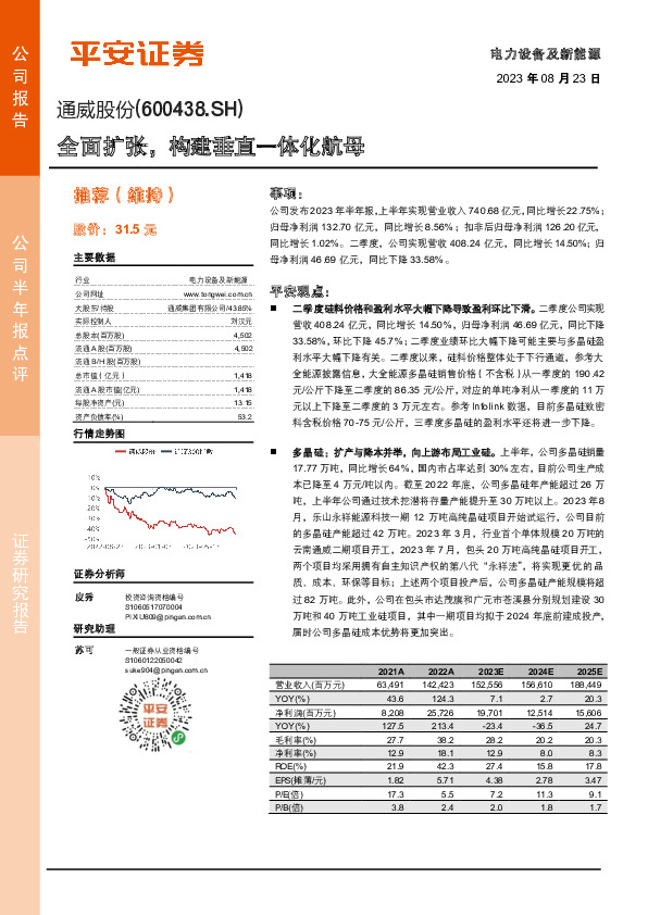 全面扩张，构建垂直一体化航母
