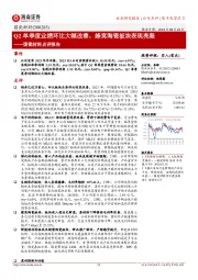 国瓷材料点评报告:Q2单季度业绩环比大幅改善,蜂窝陶瓷板块表现亮眼