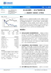 点评报告:龙头地位稳固,一体化产能持续完善