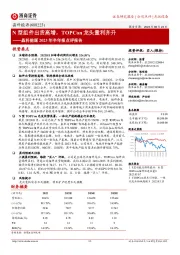 晶科能源2023年半年报点评报告:N型组件出货高增,TOPCon龙头量利齐升