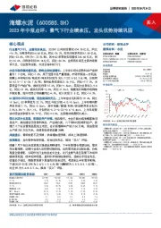 2023年中报点评：景气下行业绩承压，龙头优势持续巩固