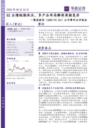 公司事件点评报告：Q2业绩短期承压，多产品布局静待周期复苏