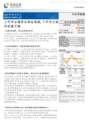 上半年业绩符合预告预期,下半年天使针放量可期