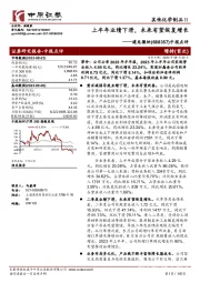 中报点评：上半年业绩下滑，未来有望恢复增长