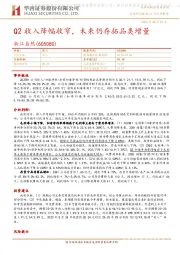 Q2收入降幅收窄,未来仍存拓品类增量