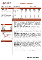 在建项目有的放矢，下游延伸多点开花