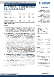 2023年中报点评：1H份额受侵蚀业绩低于预期，海外高增具备先发优势