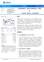公司动态研究：二季度业绩承压，苯基产品线实现向上下游延伸