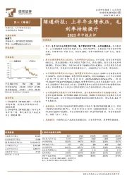 2023年中报点评：上半年业绩承压，毛利率持续提升