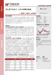 点评报告:再生类产品发力,公司业绩增长提速
