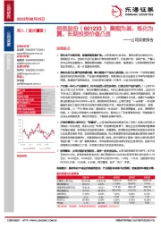 公司深度报告:聚酯为基,炼化为翼,长期投资价值凸显
