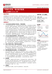 龙佰集团2023H1点评:产销增长明显,看好盈利修复