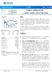 2023年中报点评报告:产销提升,持续高分红可期