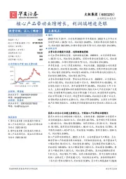 核心产品带动业绩增长,利润端增速亮眼