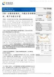 23H1业绩快速增长,内镜业务持续驱动,新产品看点丰富