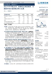 2023年半年报点评：短期受生物质拖累，长期看好综合能源服务商大发展