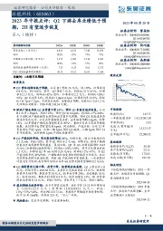 2023年中报点评：Q2下游去库业绩低于预期，2H有望逐步恢复