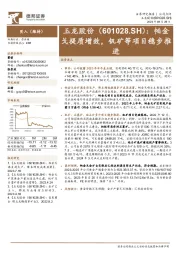 帕金戈提质增效,钒矿等项目稳步推进