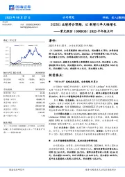 2023半年报点评:2023H1业绩符合预期,AI新增订单大幅增长