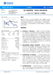 点评报告：Q2业绩超预期，异质结大储双轮驱动