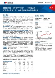 半年报点评：矿山成本有所上升，内增外拓驱动中长期成长性