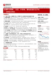 奥特维点评报告:业绩符合预期;光伏、半导体、锂电设备多点开花